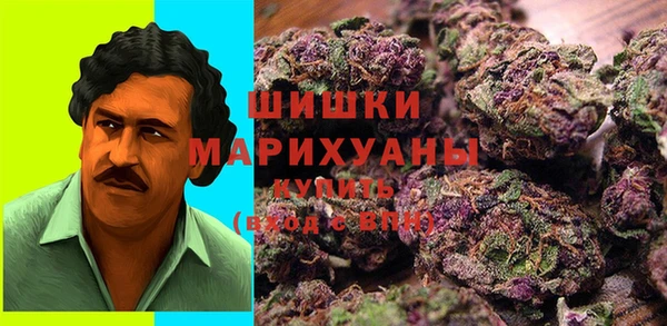 шишки Алексеевка
