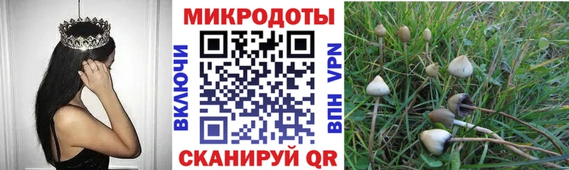 OMG ссылка  Сураж  Галлюциногенные грибы Magic Shrooms 